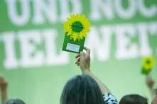 yeşiller seçim kartı