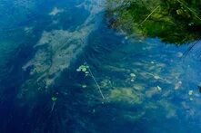 iklim degisikligi uyum kapak