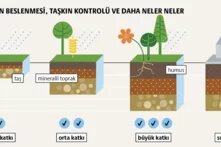 İklim değişikliğine uyum: Toprak ile su, hayati bir ortak yaşam teaser