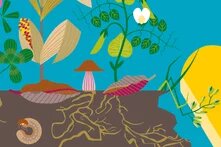 toprak atlası teaser