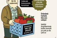 Yapısal değişim Türkiye tablosu: Yeşil devrimin yorduğu topraklar  teaser