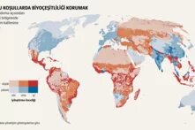 İklim politikası: Toprak talebiyle halkın hakları arasında artan çatışma teaser