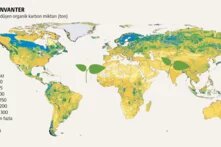 Toprak karbon kredileri: Nimet mi, lanet mi? teaser