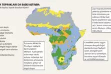 Çölü yeşillendirmek: Sahra ve Sahel’de toprak onarımı teaser