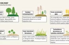 Çevre koruma: Biyoçeşitlilik bizim hayat sigortamız teaser