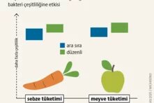 Sağlık: Dayanıklı ekosistem, sağlam bağırsak teaser