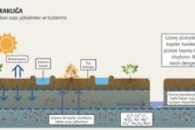 Toprak bozulumunda Türkiye tablosu: Kaybımız büyük teaser