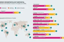 Graphic: Evidence circumstantial but substantial