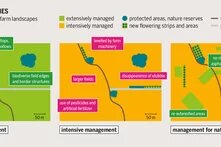 Graphic: Alternative realities 