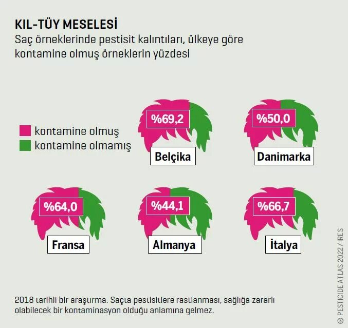 Pestisit atlası 2023 16-17 kıl tüy meselesi