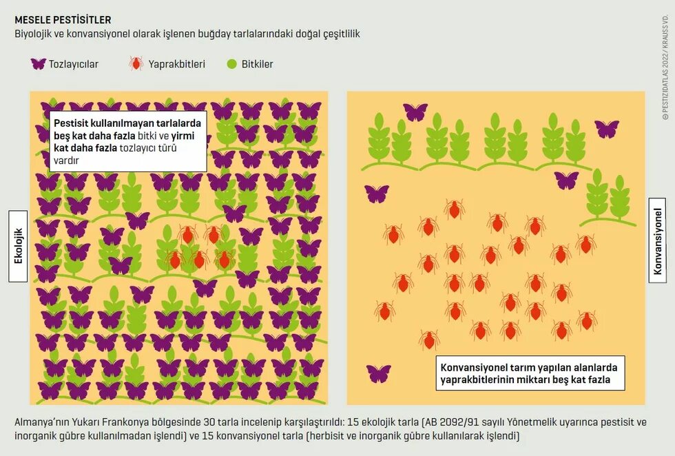 Tür zenginliği tarlanın ortasında değil, kenarında kendini gösterir. Pestisit kullanımıyla tarlada ve tarla sınırındaki biyolojik çeşitlilik çok azalır. pestitist-atlas-s.-30_31-mesele-pestisitler.jpg