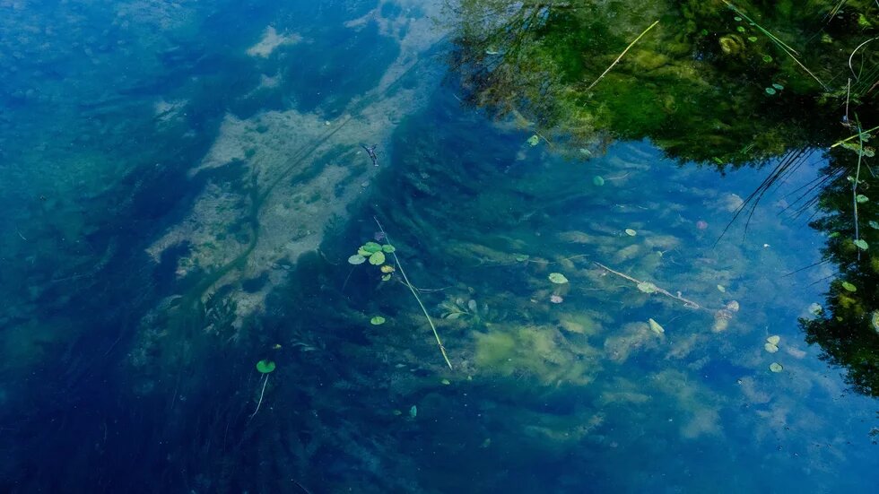 iklim degisikligi uyum kapak