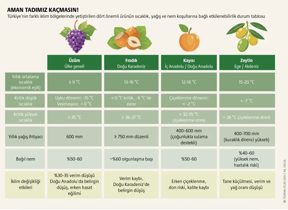 İklim değişikli Türkiye tablosu: İklim değişir, Akdeniz olur 2. görsel