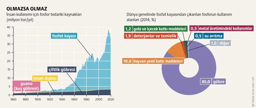 Fosfor: Ekstraktivist tarım 2. görsel