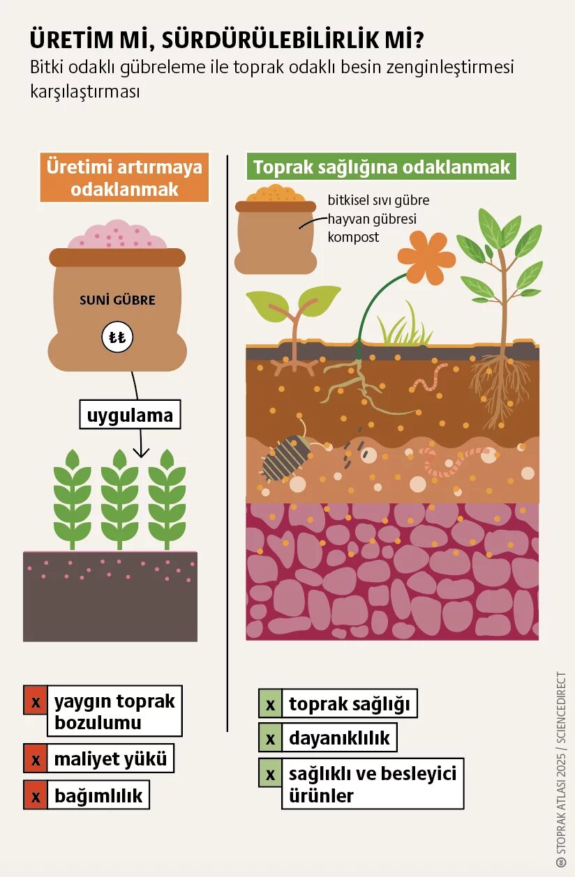 Besin maddesi dengesizliği: Toprağın terazisi 3. görsel