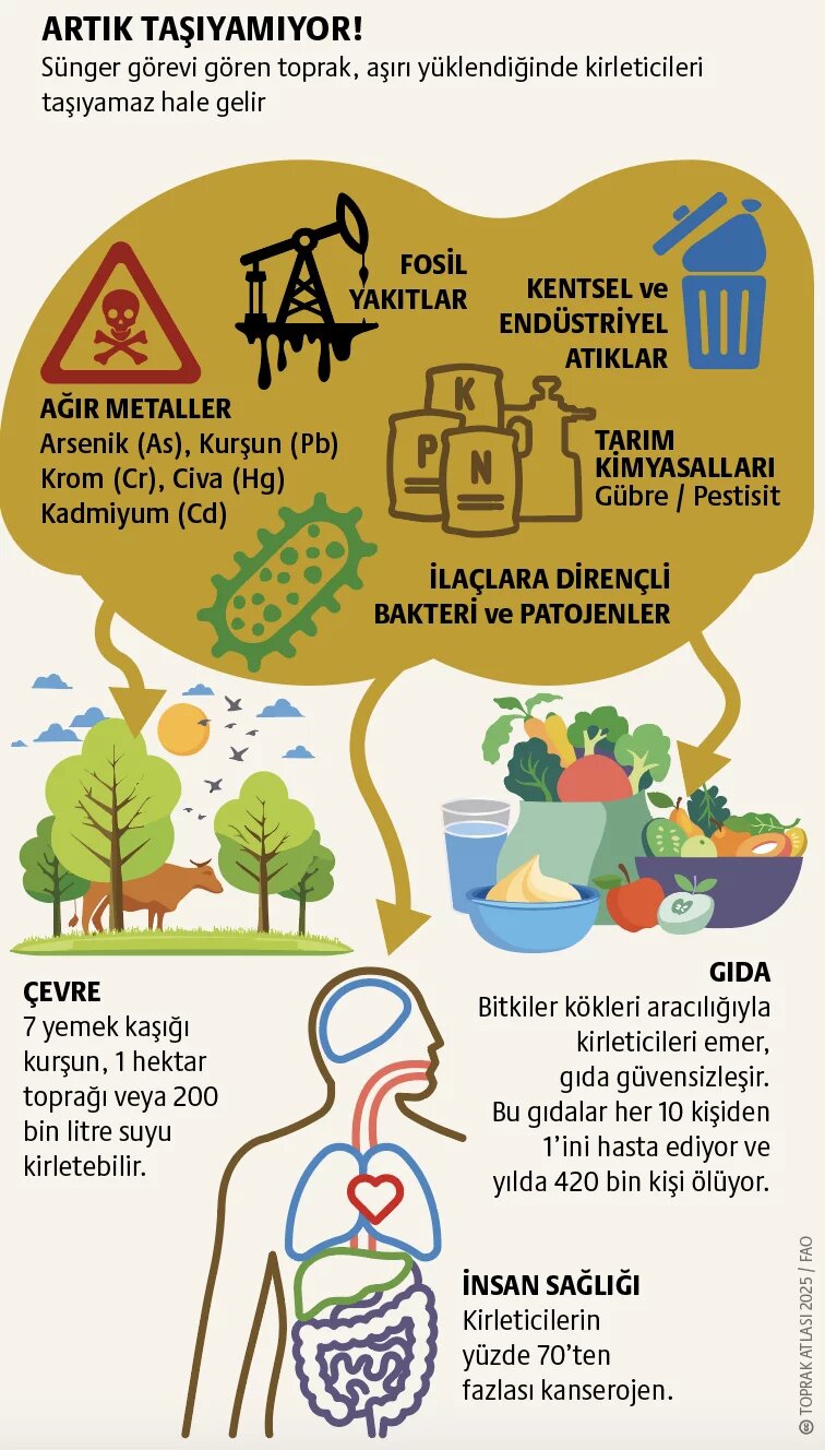 Toprak kirliliği: Sinsi tehlike 2. görsel