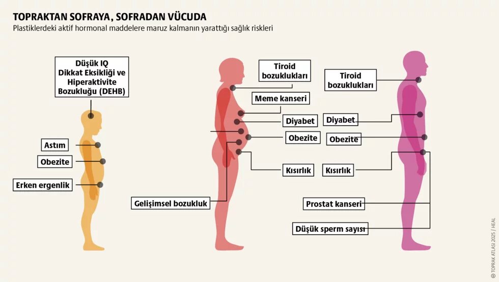 Toprak kirliliği: Sinsi tehlike teaser