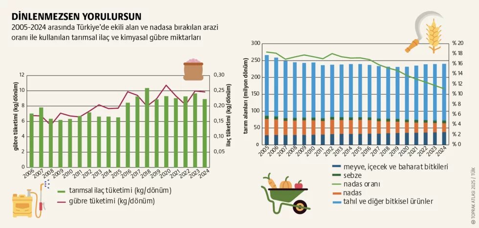 Yapısal değişim Türkiye tablosu: Yeşil devrimin yorduğu topraklar 2. görsel