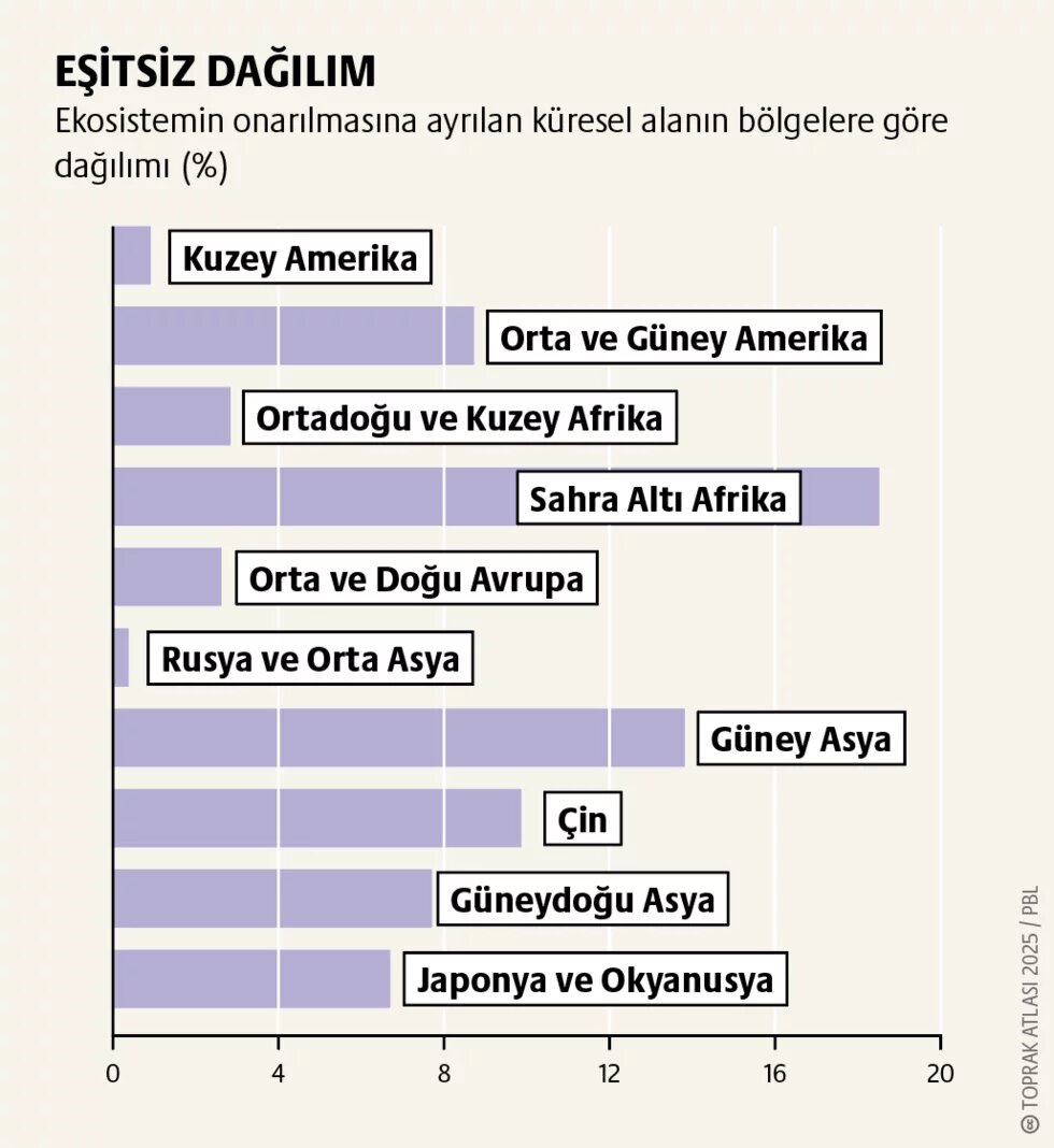 İklim politikası: Toprak talebiyle halkın hakları arasında artan çatışma 3. görsel
