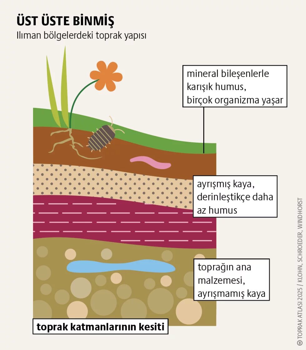 Toprak karbon kredileri: Nimet mi, lanet mi? 2. görsel