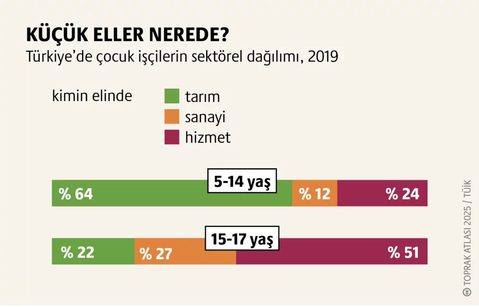 Emek: Mevsimlik gezici tarım işçiliği 3. görsel