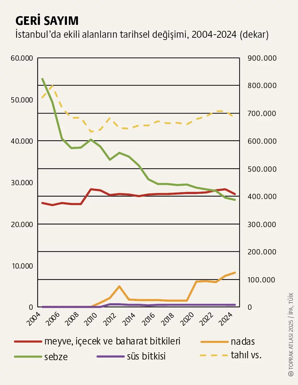 İstanbul’da kent tarımı: Bostan isimleri sokak tabelalarında kalmasın 2. görsel