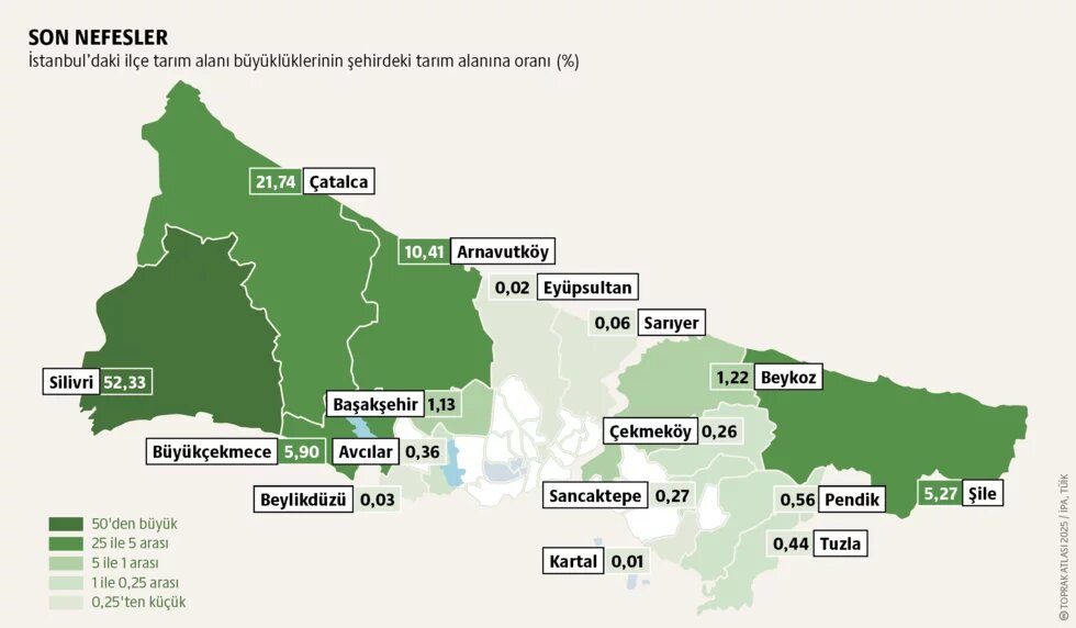 İstanbul’da kent tarımı: Bostan isimleri sokak tabelalarında kalmasın teaser