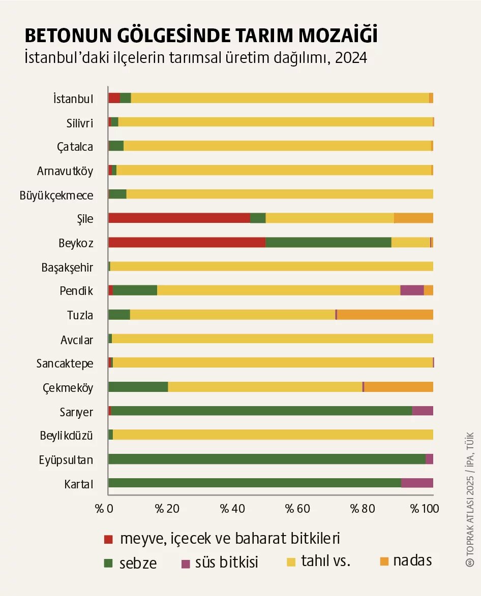İstanbul’da kent tarımı: Bostan isimleri sokak tabelalarında kalmasın 3. görsel