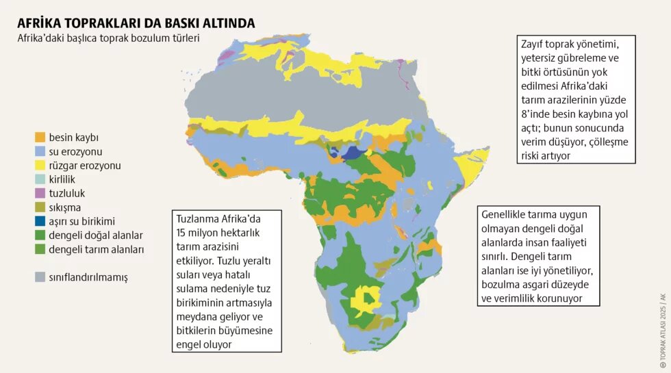 Çölü yeşillendirmek: Sahra ve Sahel’de toprak onarımı teaser