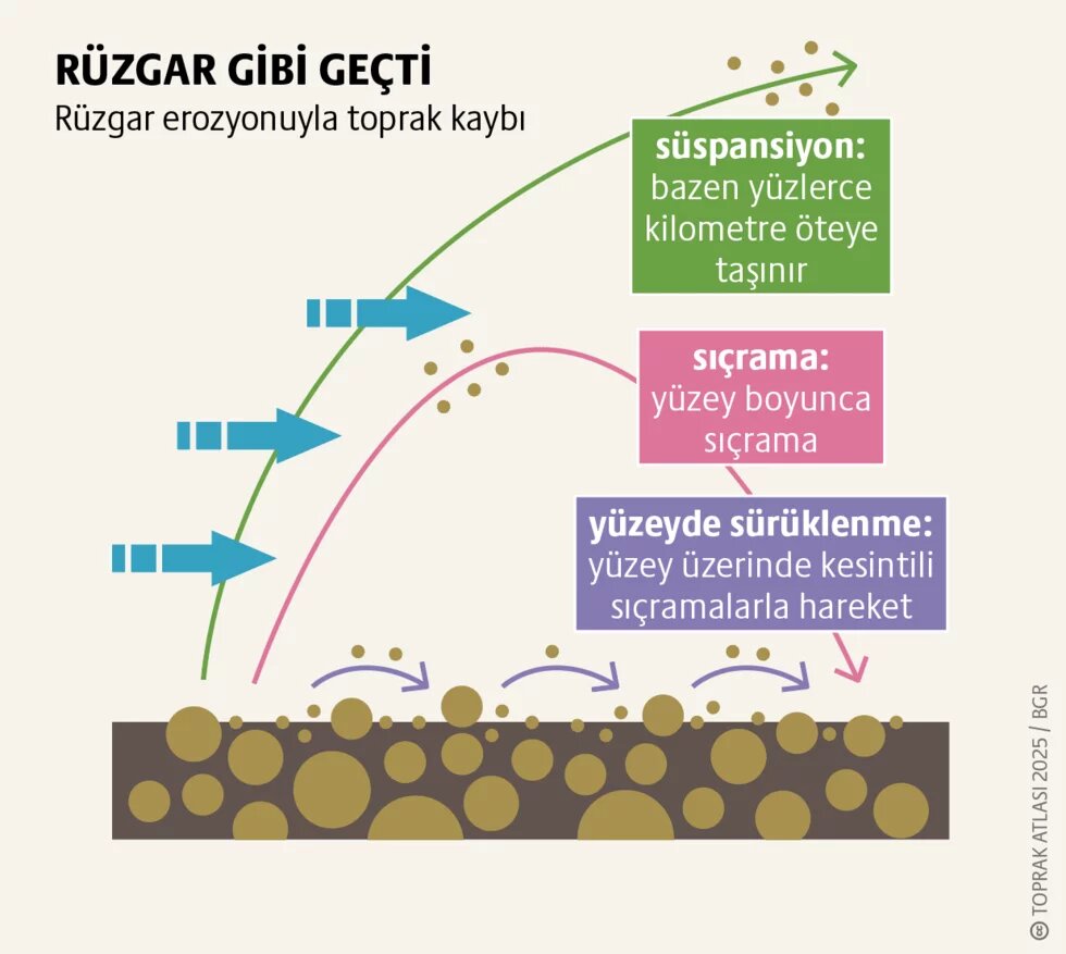 Toprak bozulumu: Sessi̇z küresel kriz 3. görsel