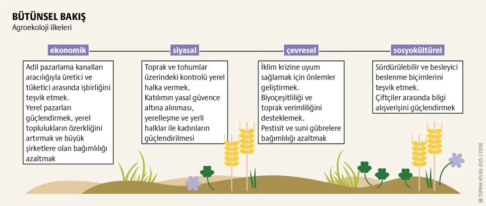Agroekoloji: Toprağı canlı tutan politikalar 2. görsel