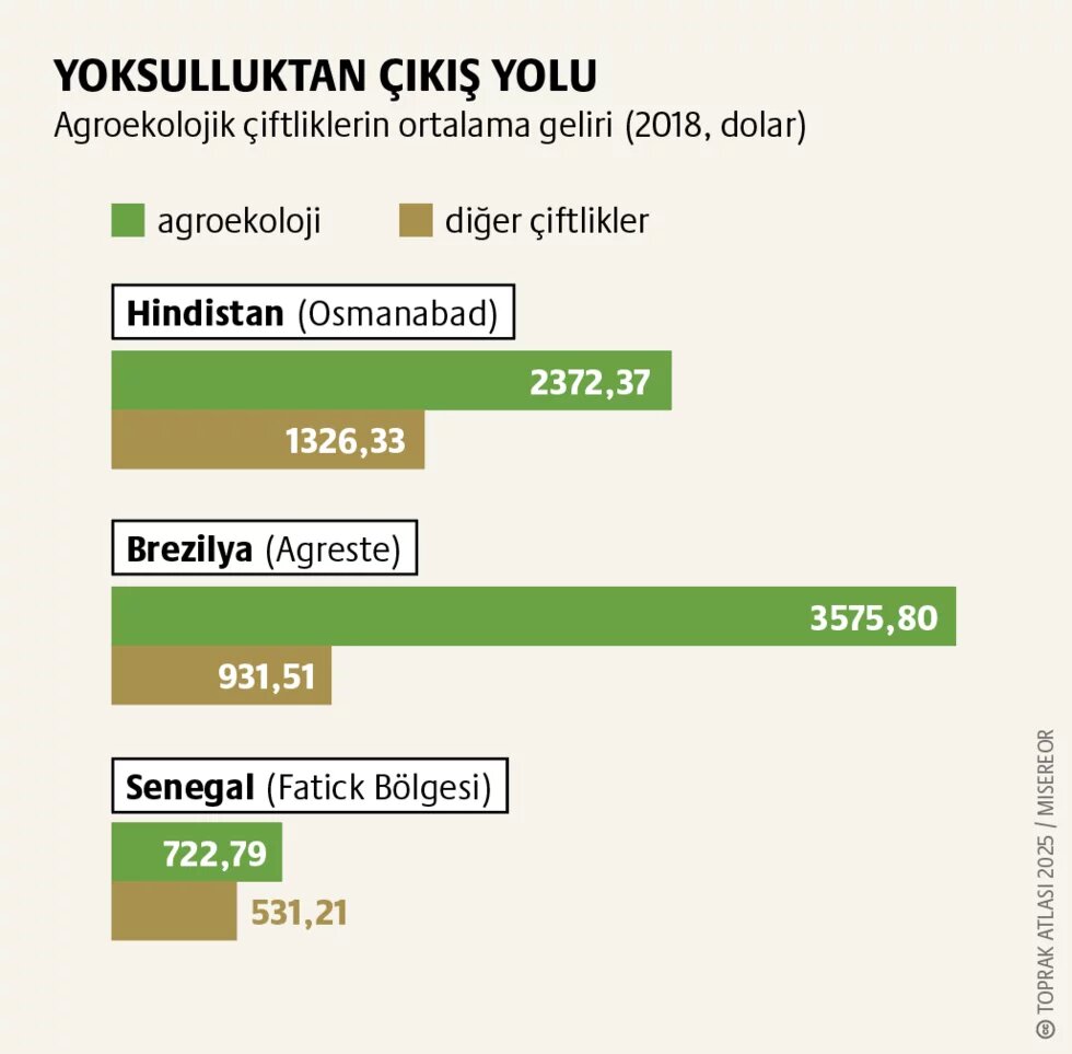 Agroekoloji: Toprağı canlı tutan politikalar 3. görsel