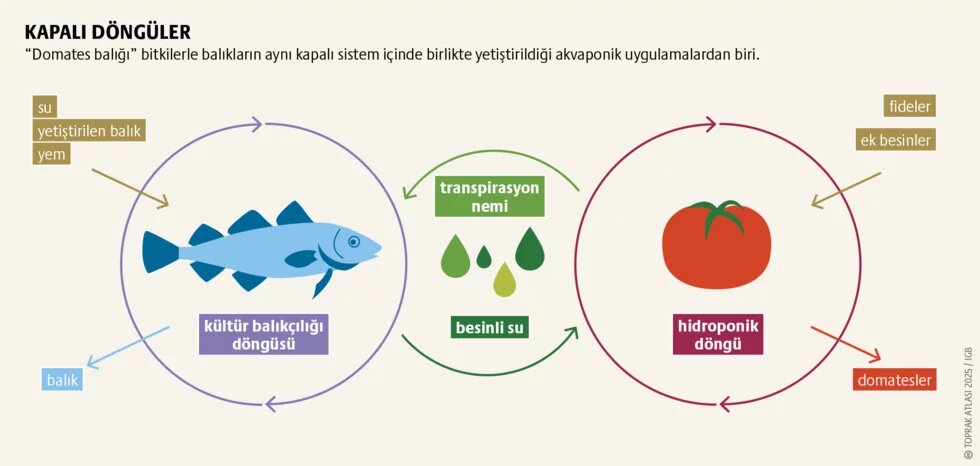Topraksız tarım: Devrim mi, yanılsama mı? 2. görsel
