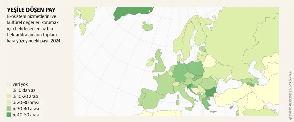 Çevre koruma: Biyoçeşitlilik bizim hayat sigortamız 2. görsel