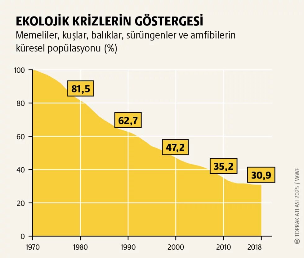 Çevre koruma: Biyoçeşitlilik bizim hayat sigortamız 3. görsel