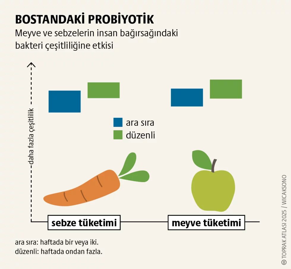 Sağlık: Dayanıklı ekosistem, sağlam bağırsak teaser