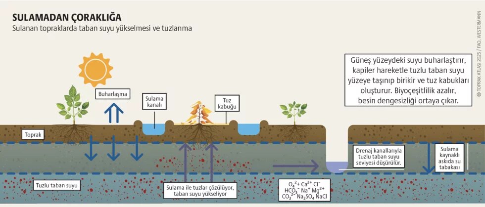 Toprak bozulumunda Türkiye tablosu: Kaybımız büyük teaser