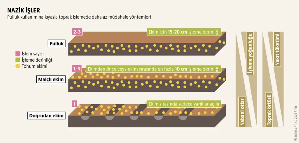 Sürdürülebilir uygulamalar: Toprağı nasıl koruyabiliriz? 2. görsel
