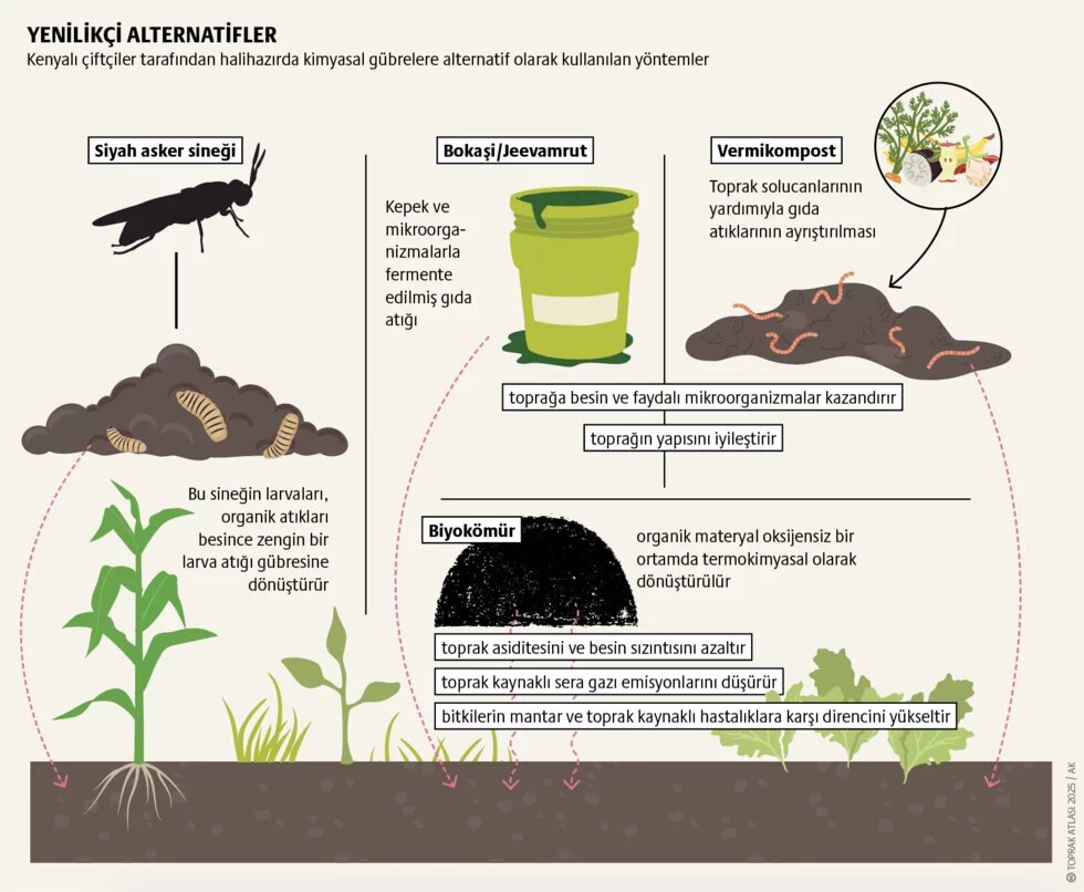 Alternatifler: Toprak sağlığı devrimi 2. görsel