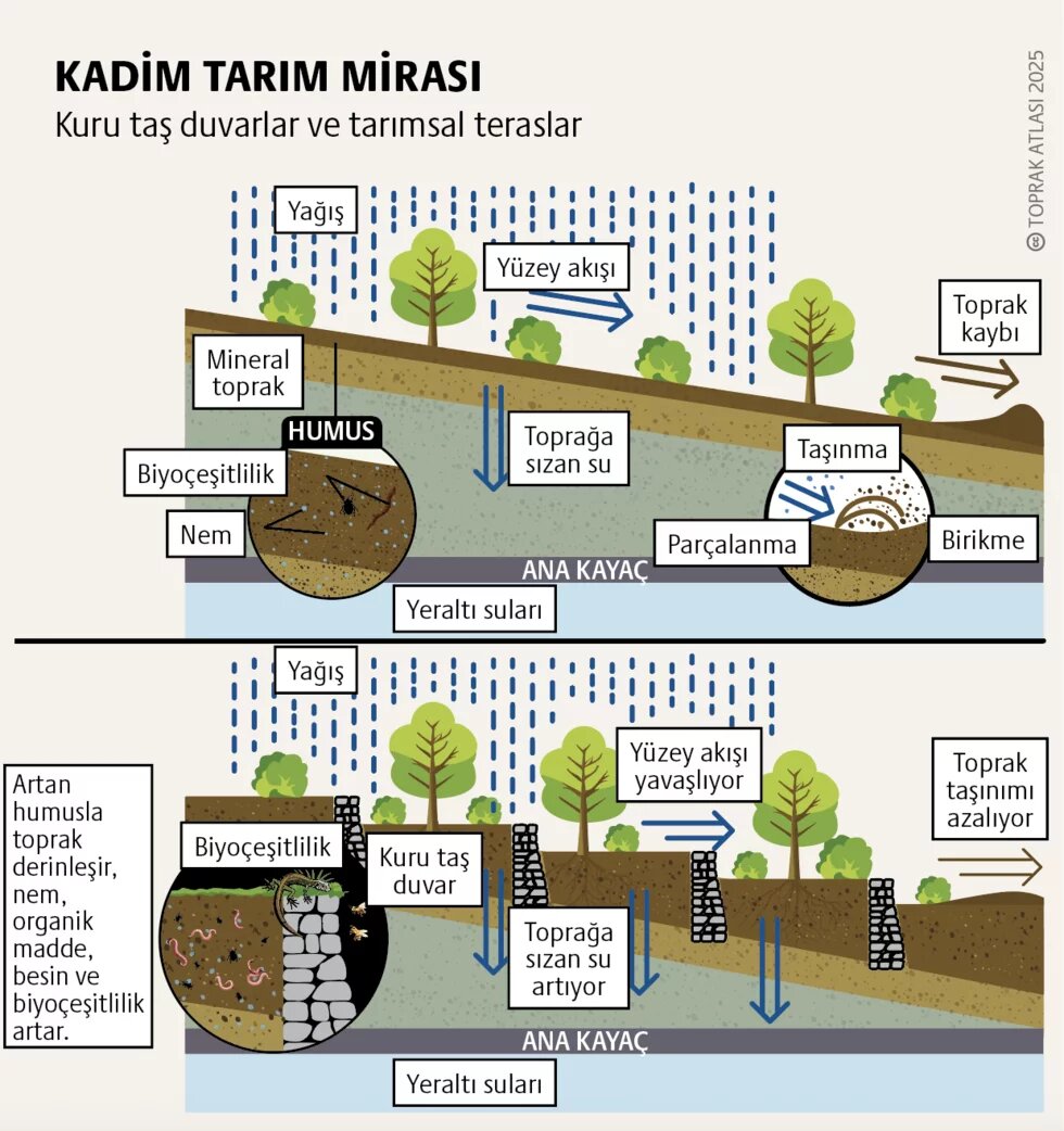 Toprak bozulumunda Türkiye tablosu: Kaybımız büyük 3. görsel