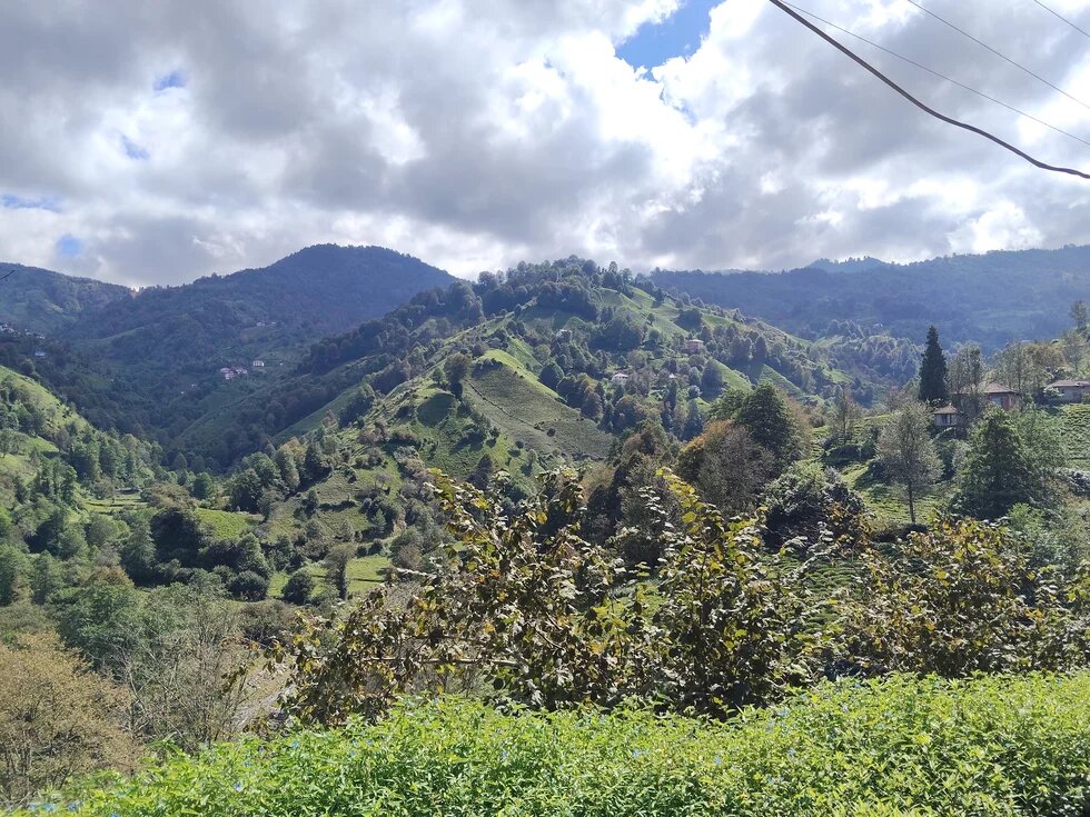 Gündoğan köyünden bir çay manzarası