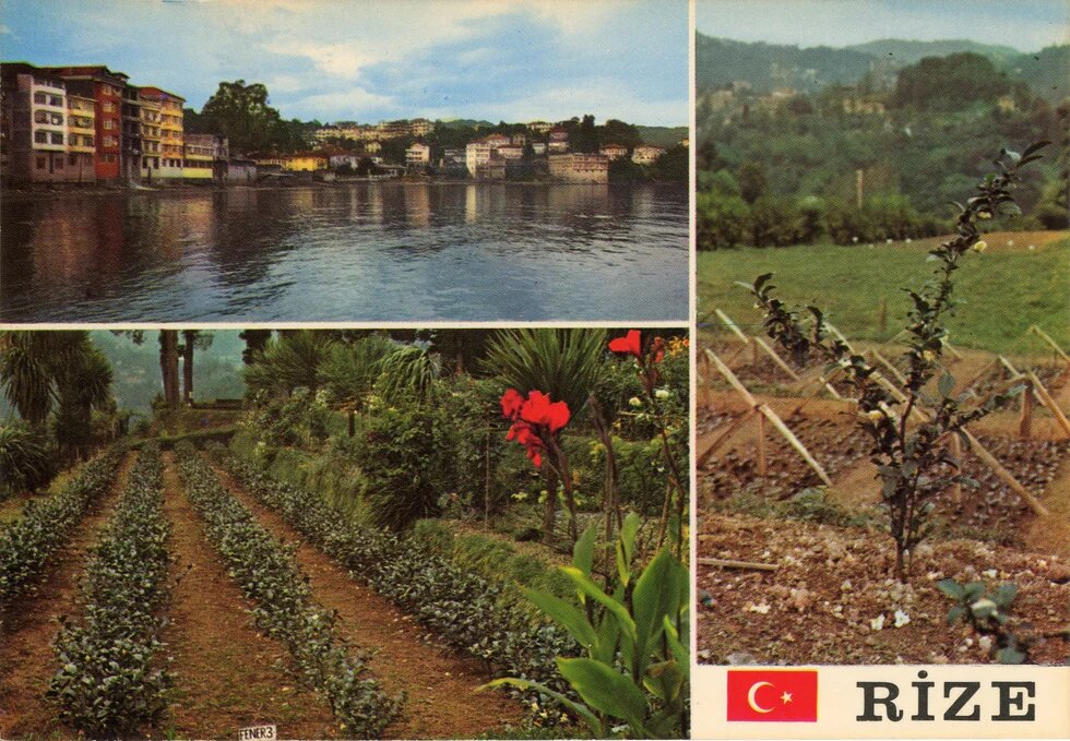 Rize'den görünümler